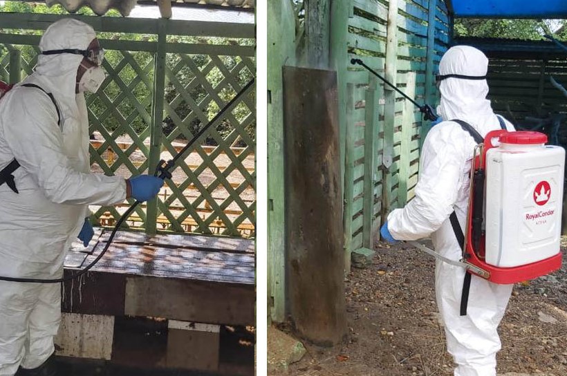 Se han erradicado 27 focos de influenza aviar en el país